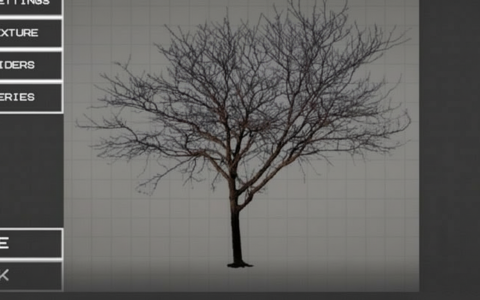 tree without leaves