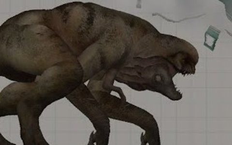 Distortus rex v3