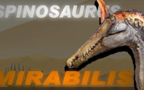 Spinosaurus Mirabilis