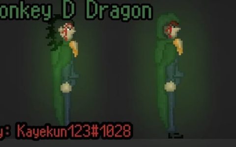 Moneky D. Dragon